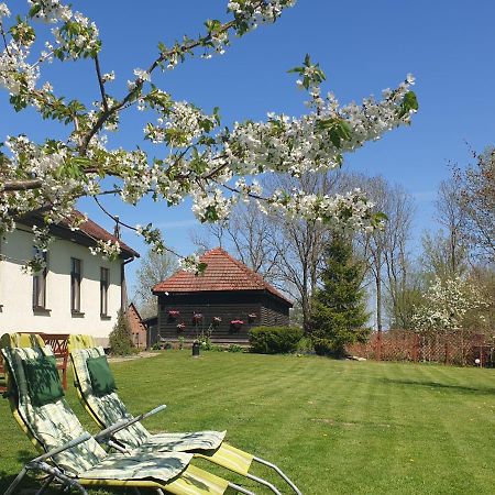 Folwark Goscino-Dwor B&B 외부 사진