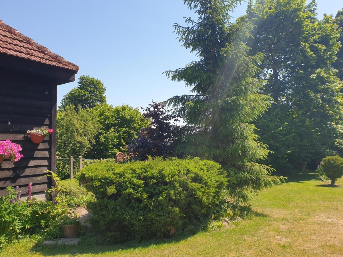 Folwark Goscino-Dwor B&B 외부 사진