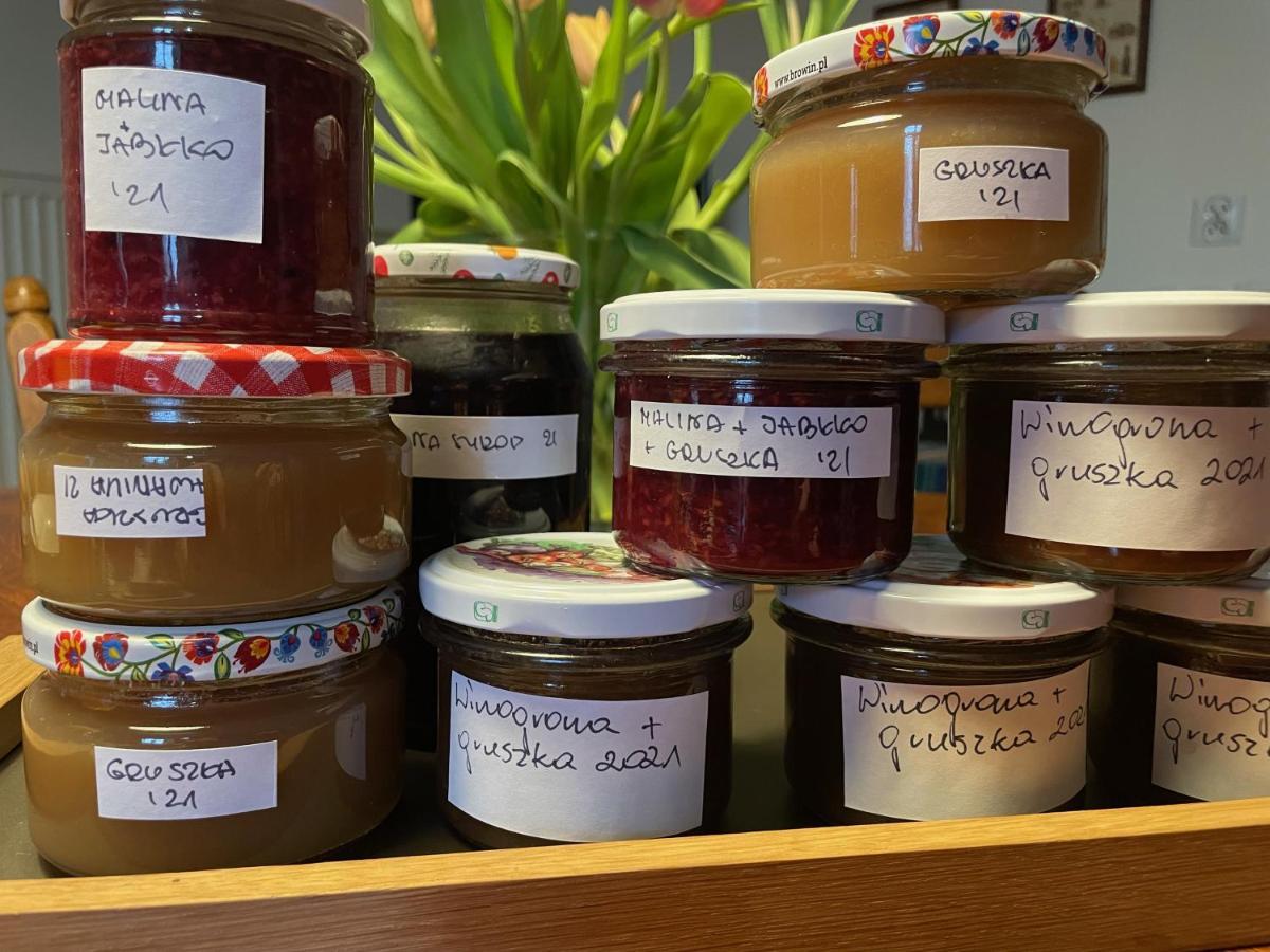 Folwark Goscino-Dwor B&B 외부 사진